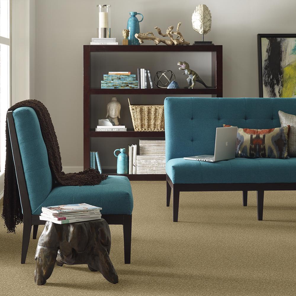 STAINMASTER PetProtect Baxter I Molly Textured Carpet (Indoor, 12-ft Roll Width) - Image 4