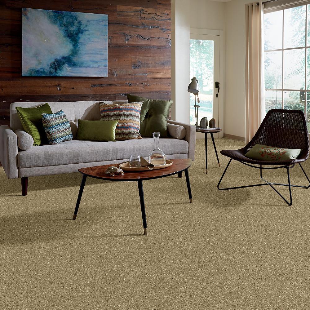 STAINMASTER PetProtect Baxter I Molly Textured Carpet (Indoor, 12-ft Roll Width) - Image 5