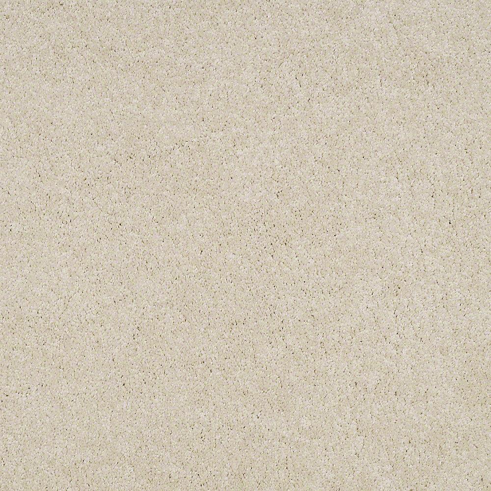 STAINMASTER PetProtect Baxter I Pug Textured Indoor Carpet, 12‑ft Roll Width