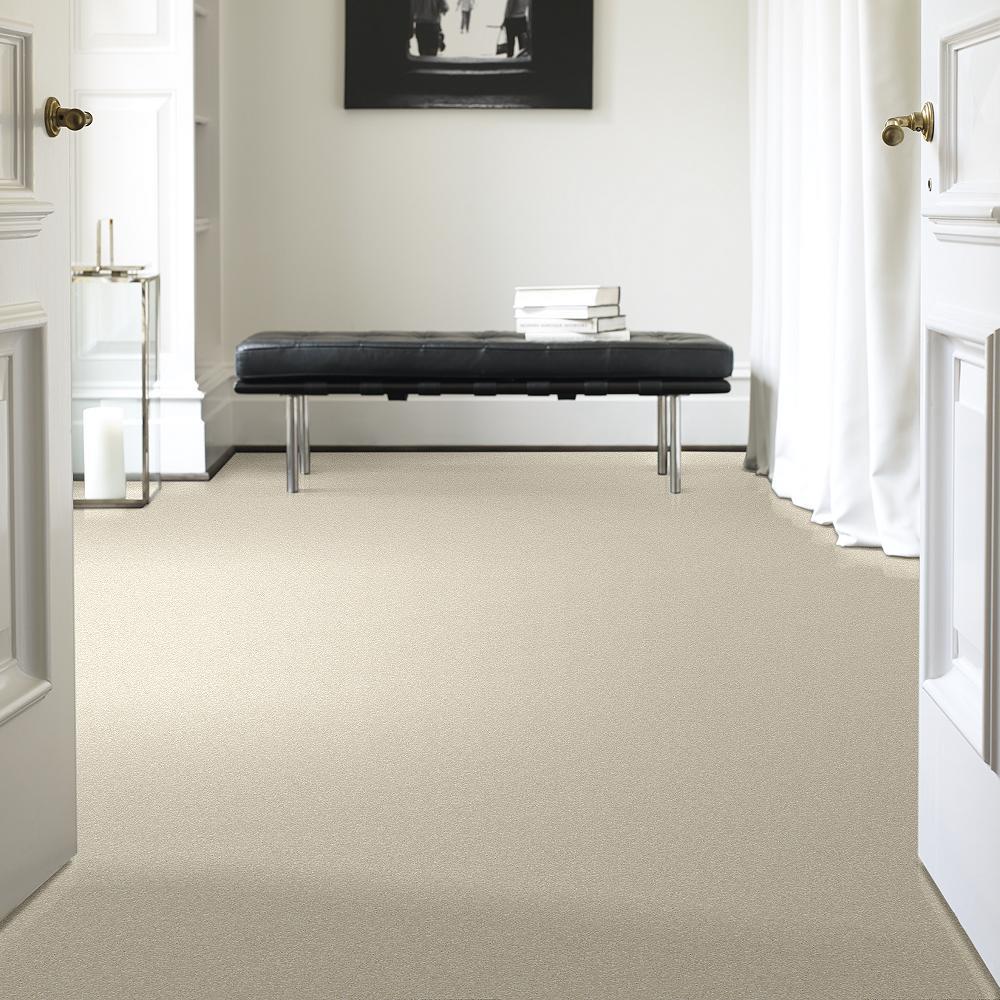 STAINMASTER PetProtect Baxter I Pug Textured Indoor Carpet, 12‑ft Roll Width - Image 2