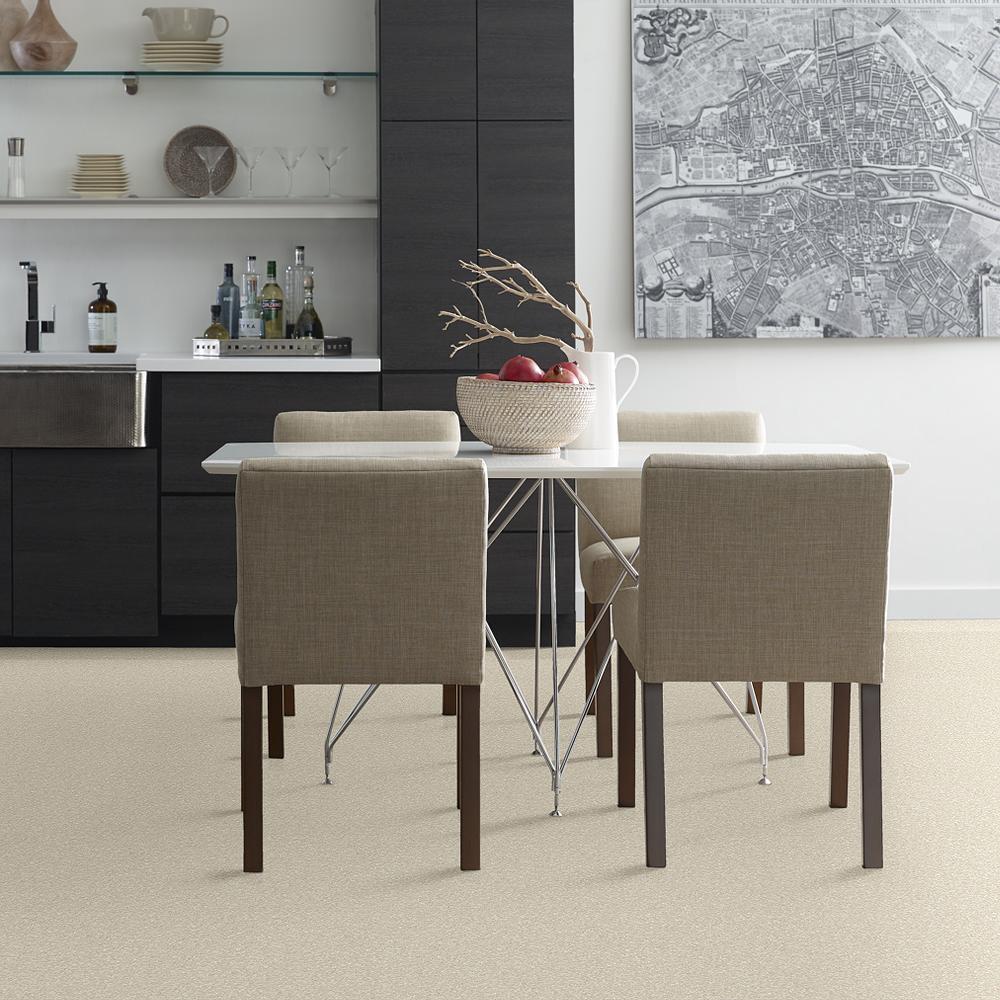 STAINMASTER PetProtect Baxter I Pug Textured Indoor Carpet, 12‑ft Roll Width - Image 3
