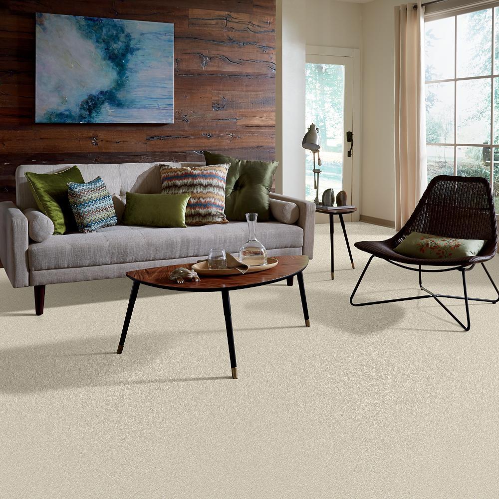 STAINMASTER PetProtect Baxter I Pug Textured Indoor Carpet, 12‑ft Roll Width - Image 5