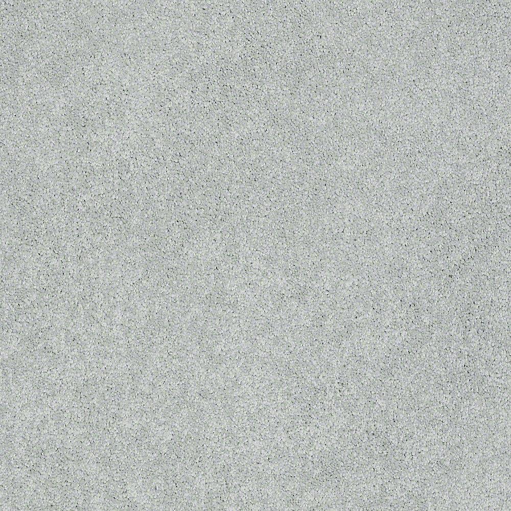 STAINMASTER PetProtect Baxter I Retriever Textured Indoor Carpet, 12-ft Roll Width