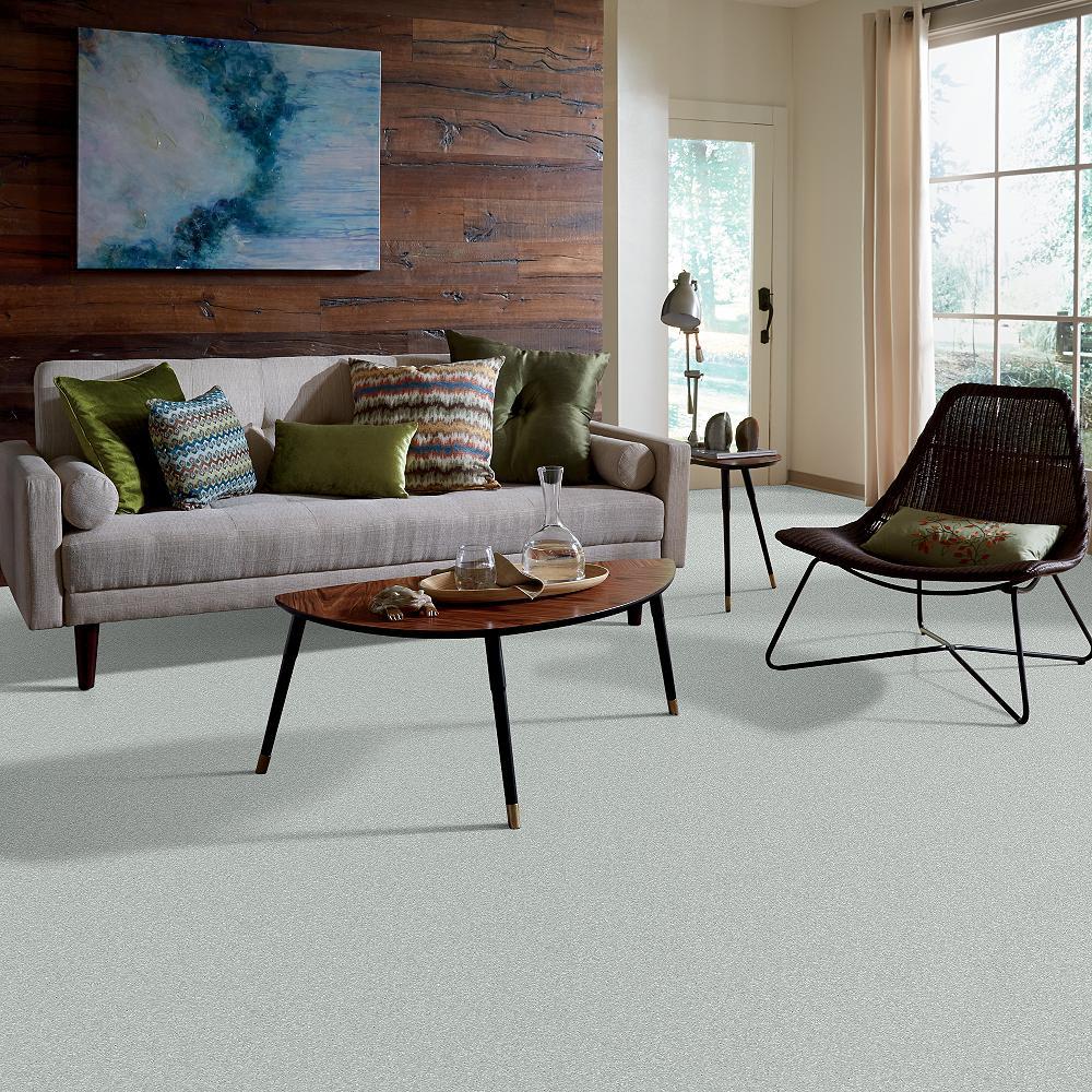 STAINMASTER PetProtect Baxter I Retriever Textured Indoor Carpet, 12-ft Roll Width - Image 5