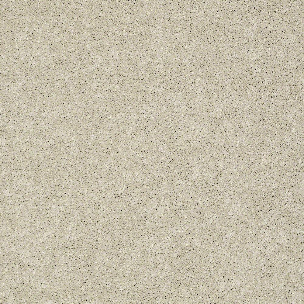 STAINMASTER PetProtect Baxter I Sadie Textured Indoor Carpet, 12-ft Roll Width