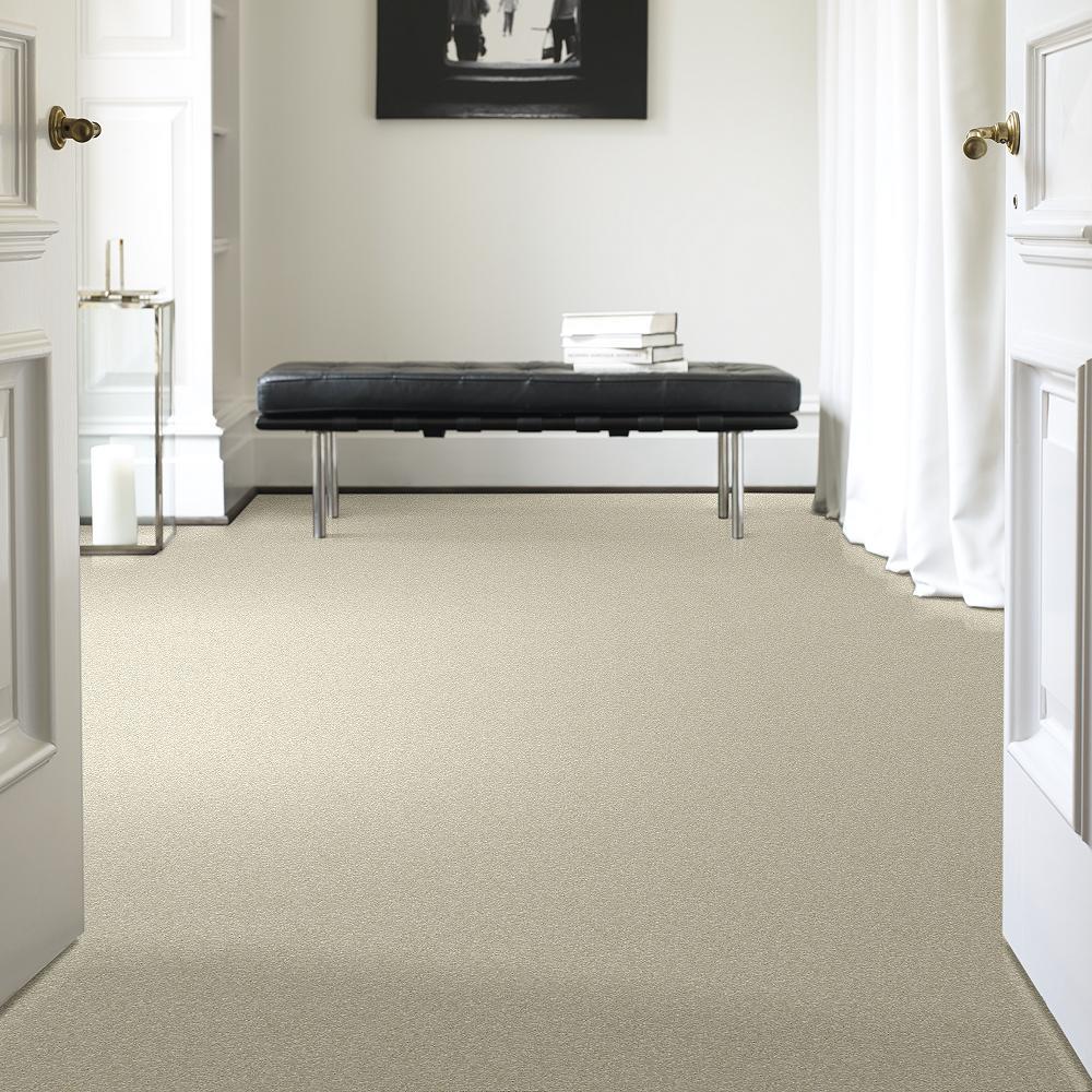 STAINMASTER PetProtect Baxter I Sadie Textured Indoor Carpet, 12-ft Roll Width - Image 2