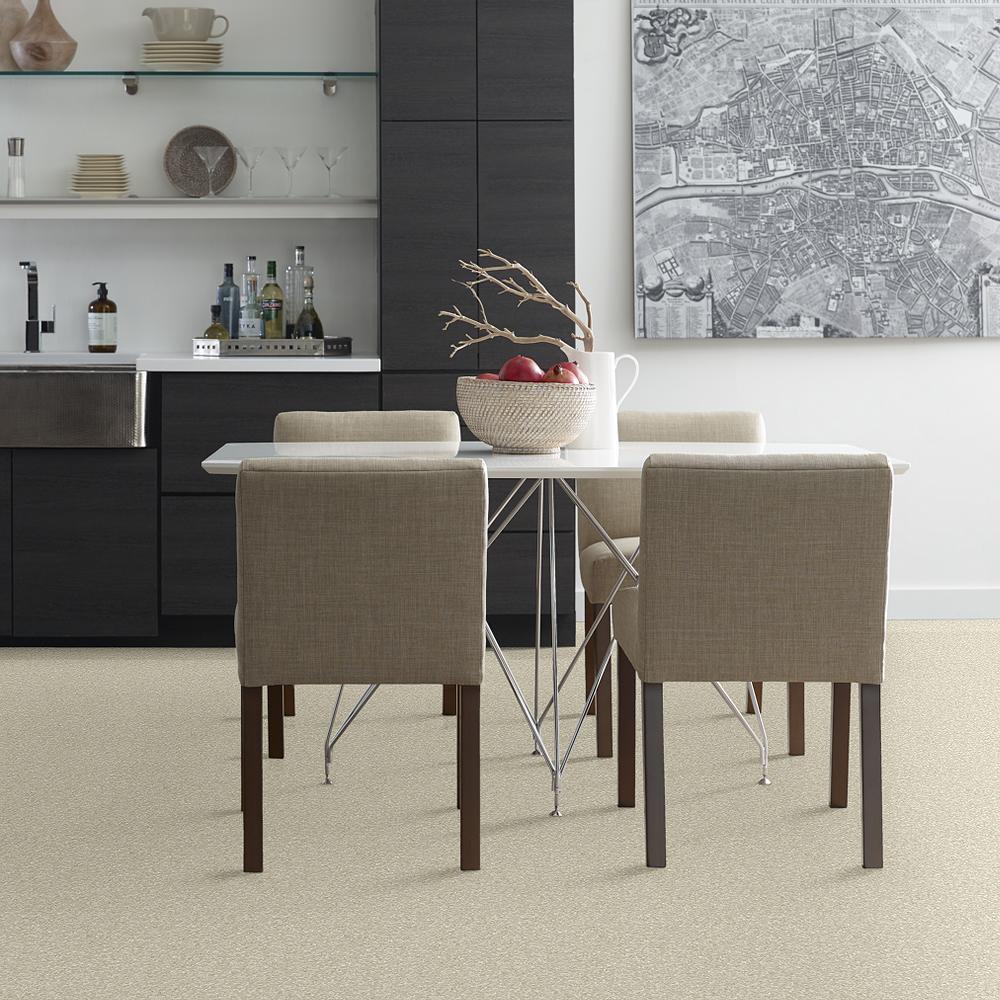 STAINMASTER PetProtect Baxter I Sadie Textured Indoor Carpet, 12-ft Roll Width - Image 3