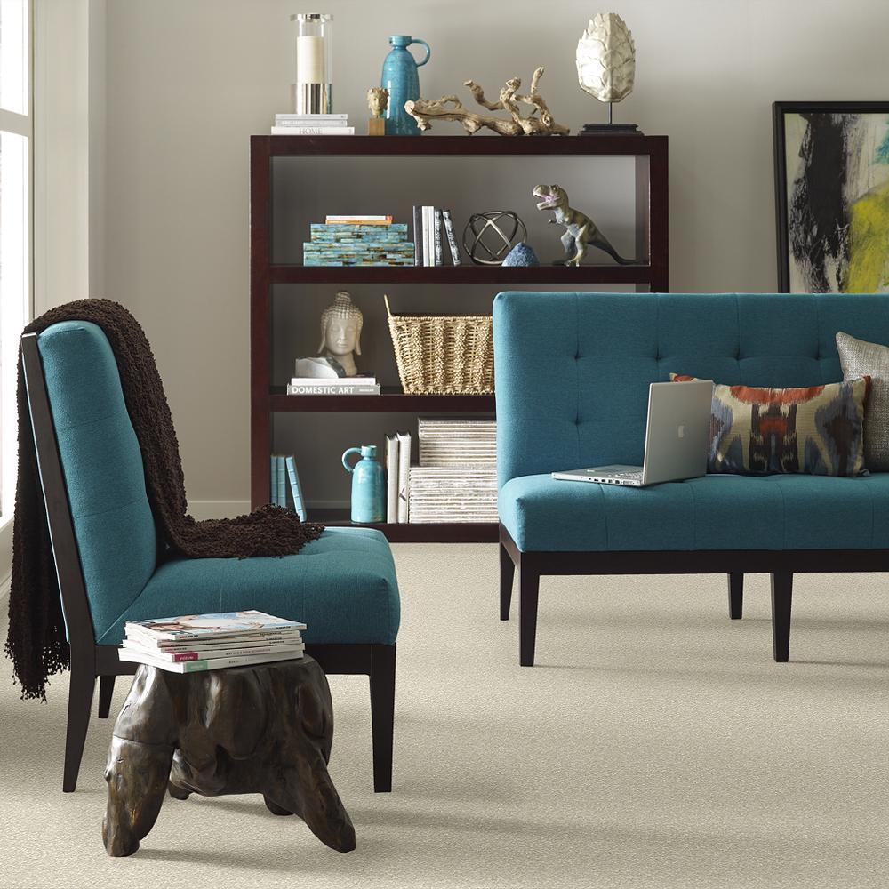 STAINMASTER PetProtect Baxter I Sadie Textured Indoor Carpet, 12-ft Roll Width - Image 4