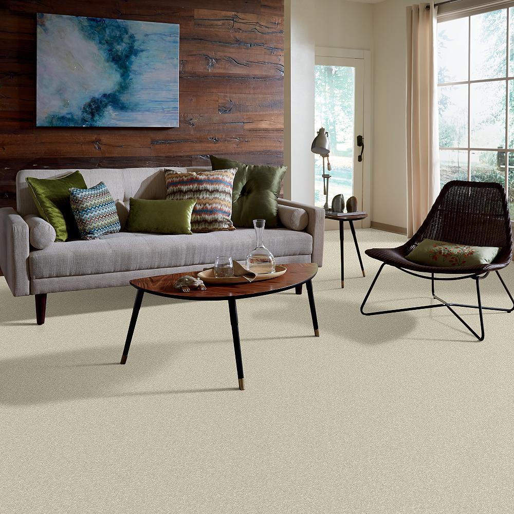 STAINMASTER PetProtect Baxter I Sadie Textured Indoor Carpet, 12-ft Roll Width - Image 5