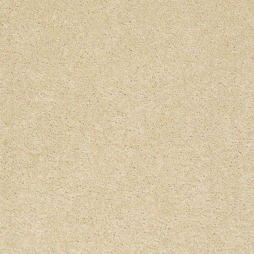 STAINMASTER PetProtect Baxter I Spaniel Textured Indoor Carpet, 12-ft Width