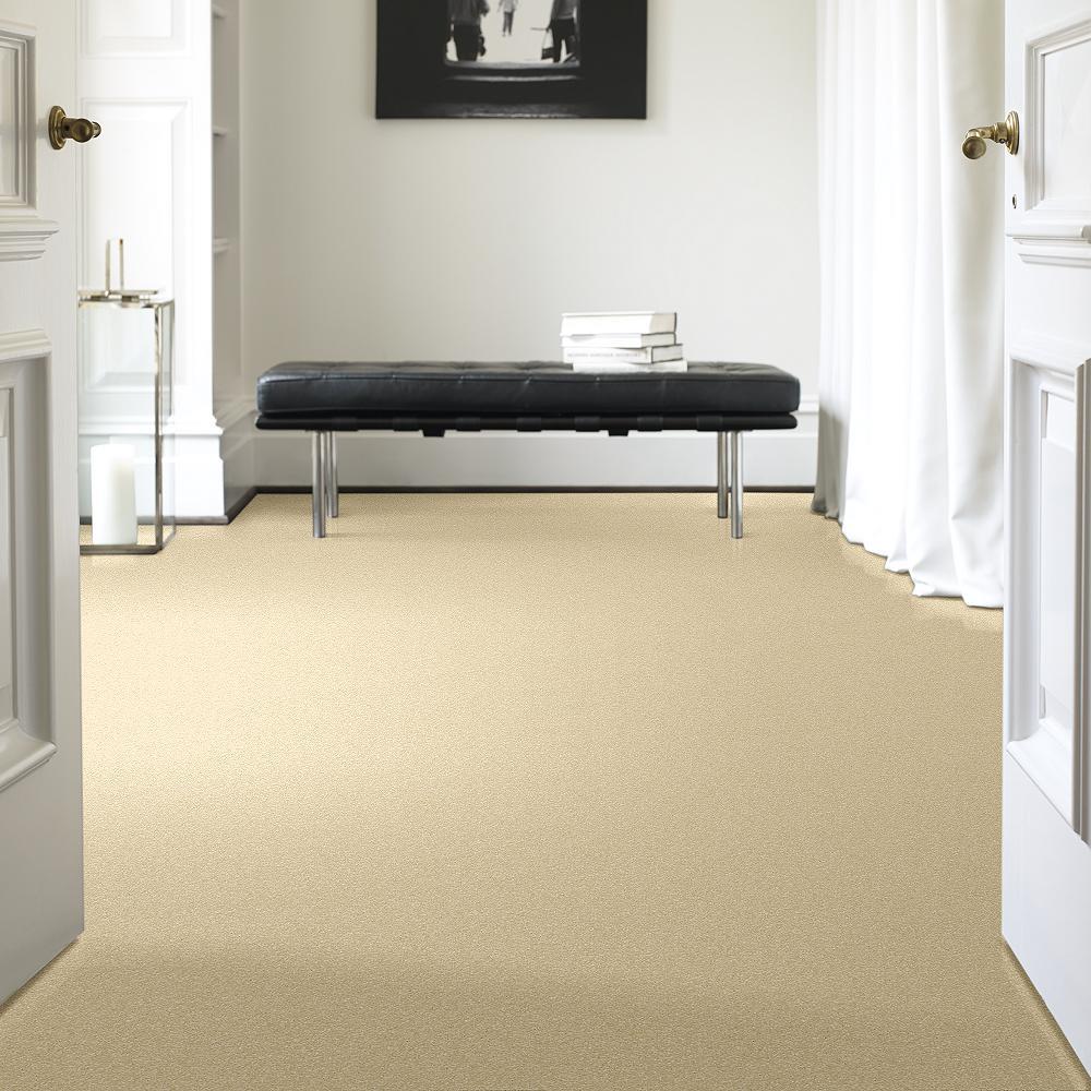 STAINMASTER PetProtect Baxter I Spaniel Textured Indoor Carpet, 12-ft Width - Image 2