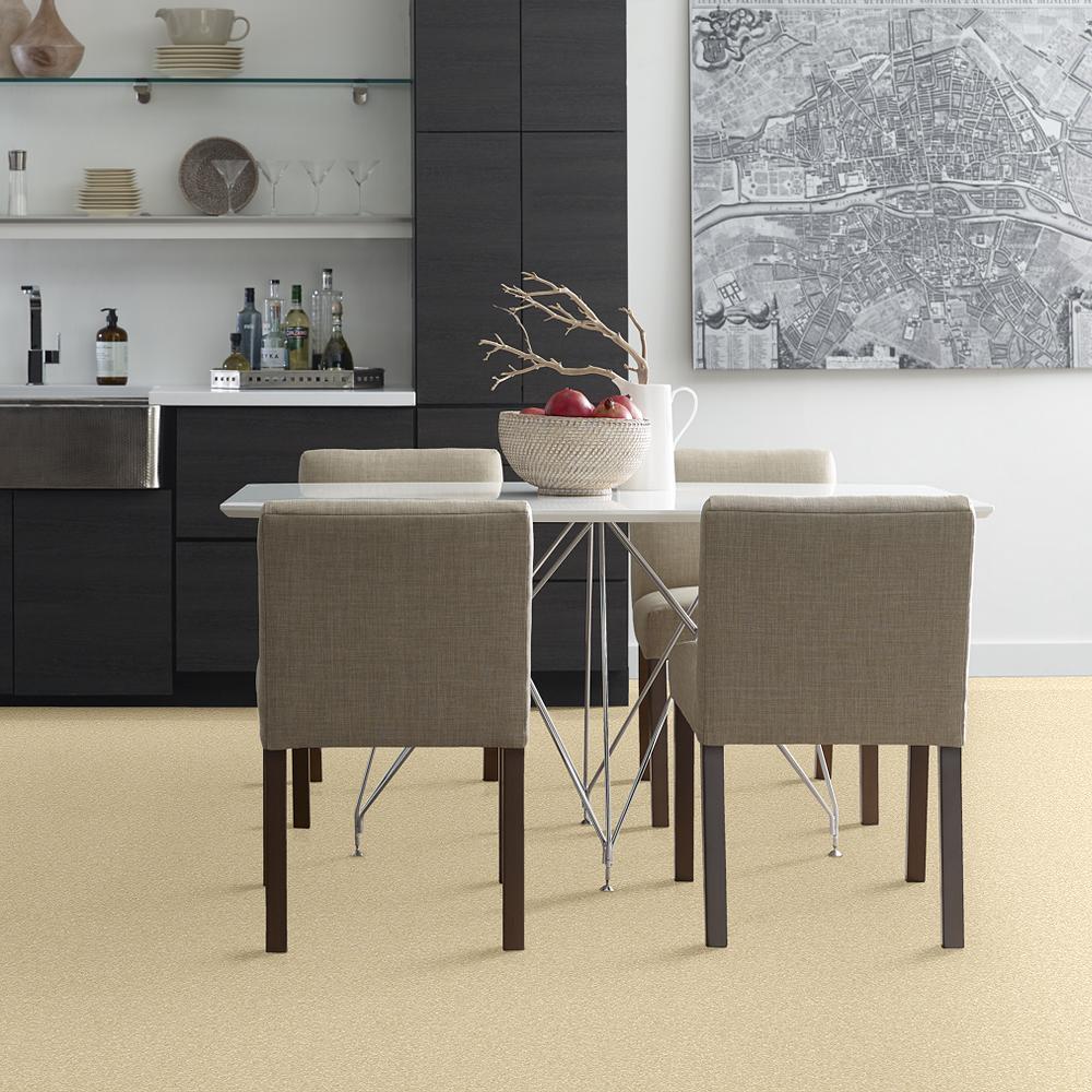 STAINMASTER PetProtect Baxter I Spaniel Textured Indoor Carpet, 12-ft Width - Image 3