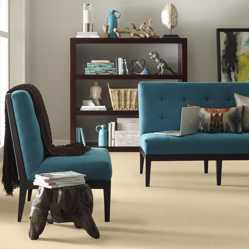 STAINMASTER PetProtect Baxter I Spaniel Textured Indoor Carpet, 12-ft Width - Image 4