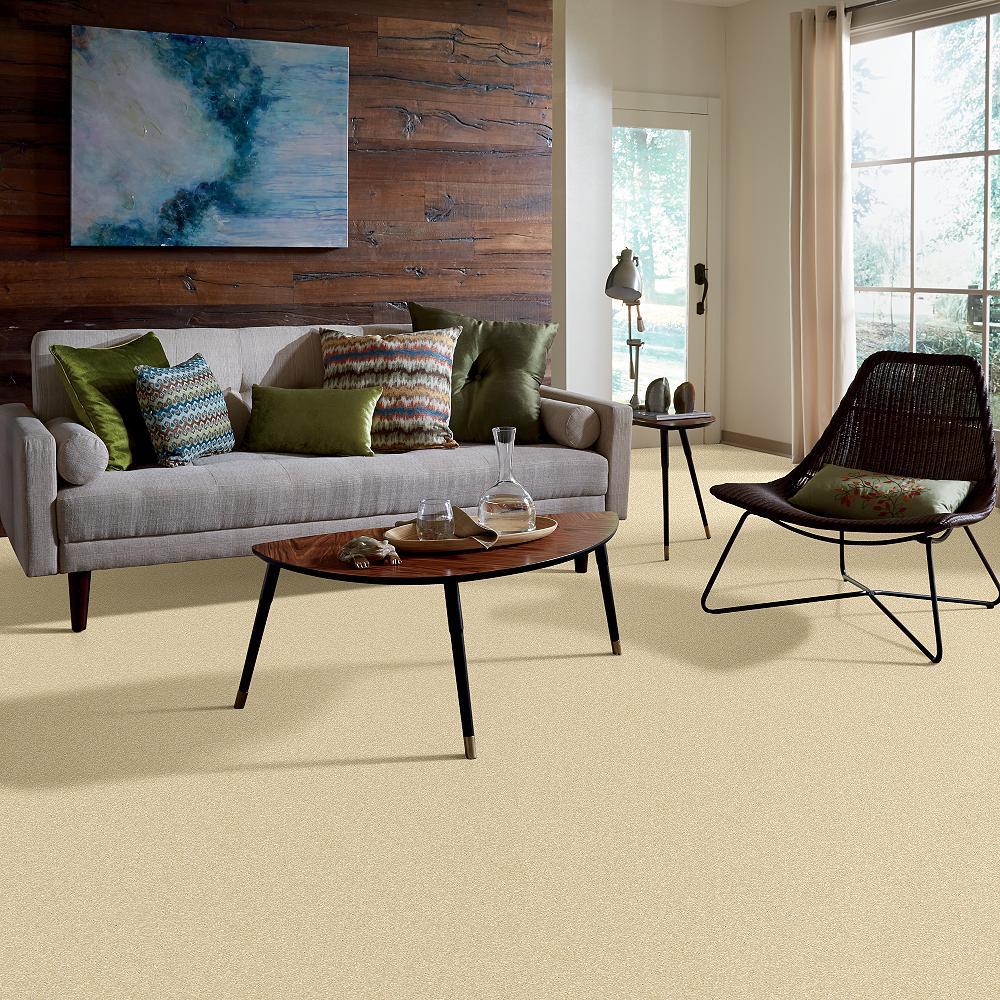 STAINMASTER PetProtect Baxter I Spaniel Textured Indoor Carpet, 12-ft Width - Image 5