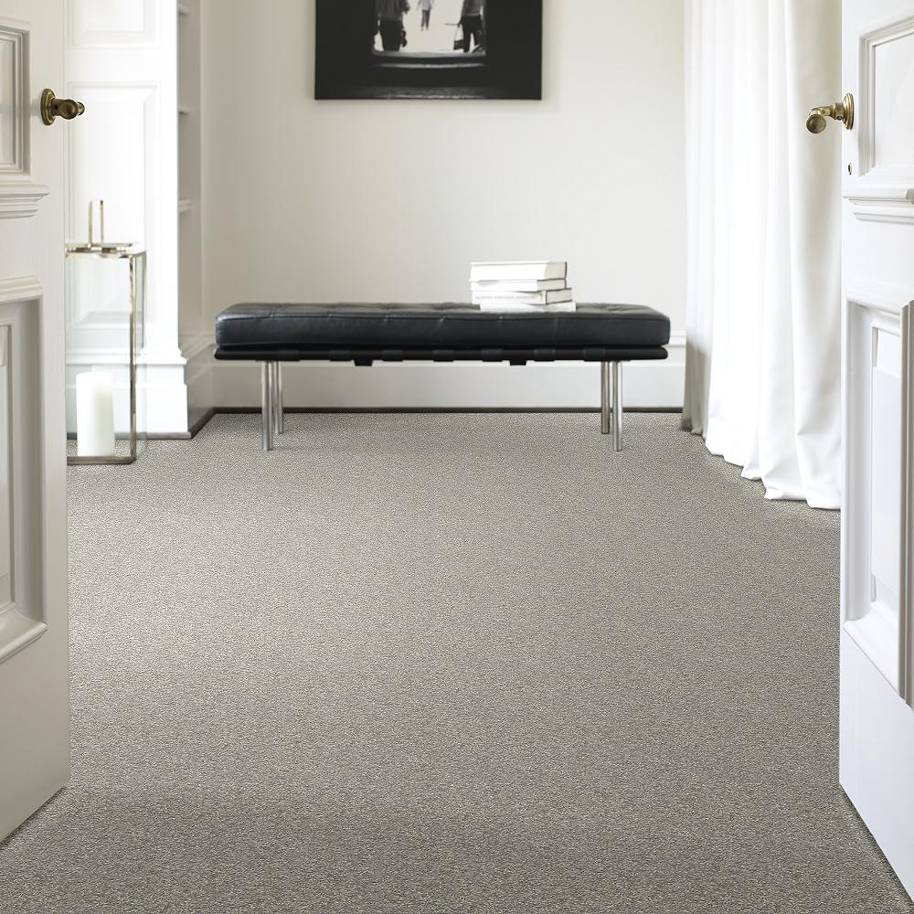 STAINMASTER PetProtect Baxter I Trixie Textured Carpet (Indoor), 12-ft Roll Width - Image 2