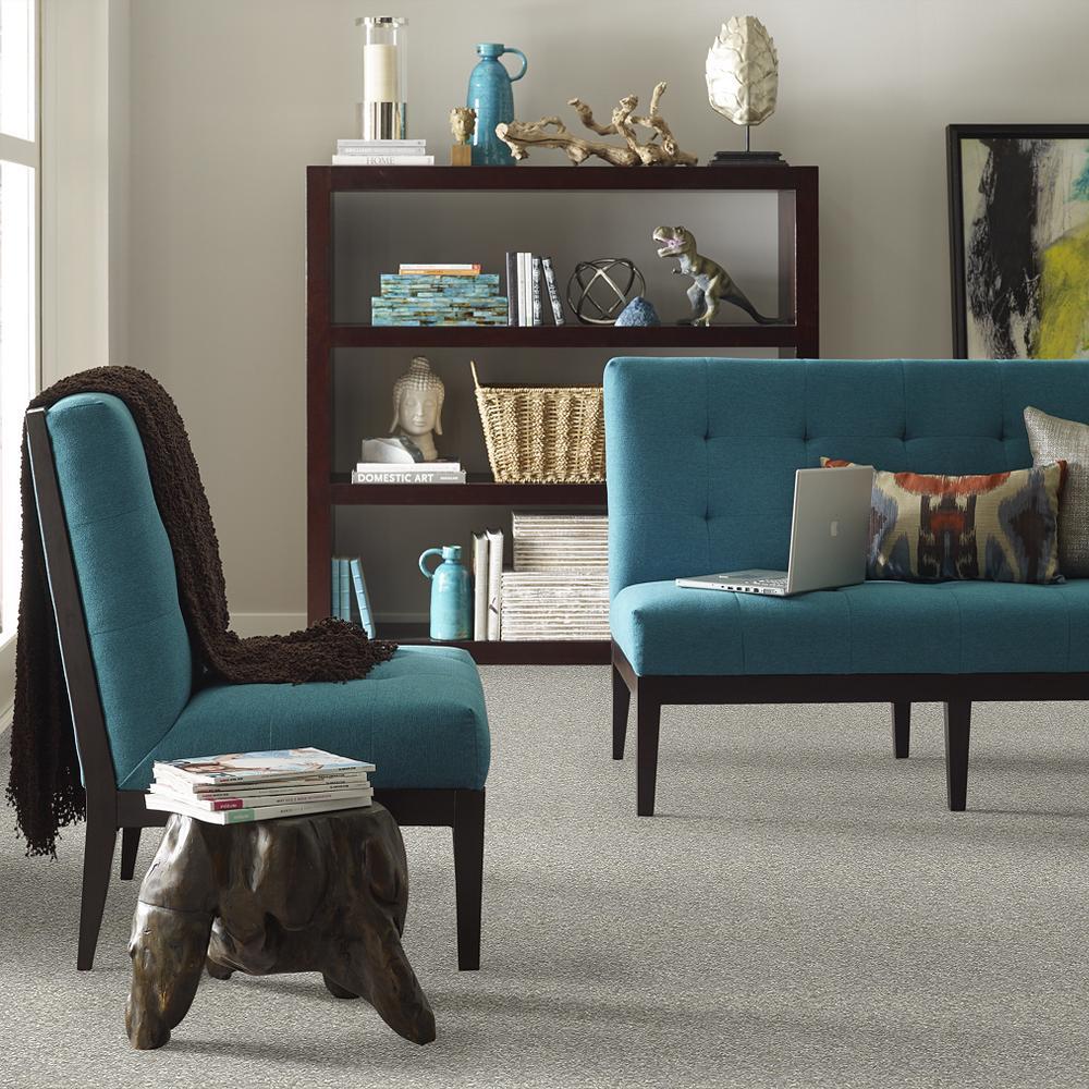 STAINMASTER PetProtect Baxter I Trixie Textured Carpet (Indoor), 12-ft Roll Width - Image 4