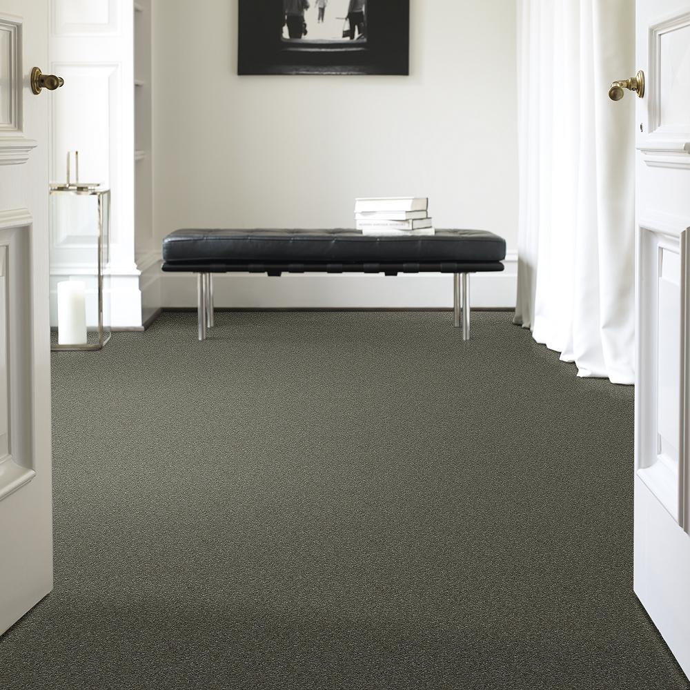 STAINMASTER PetProtect Baxter I Winston Textured Carpet (Indoor) - 12-ft Roll Width - Image 2