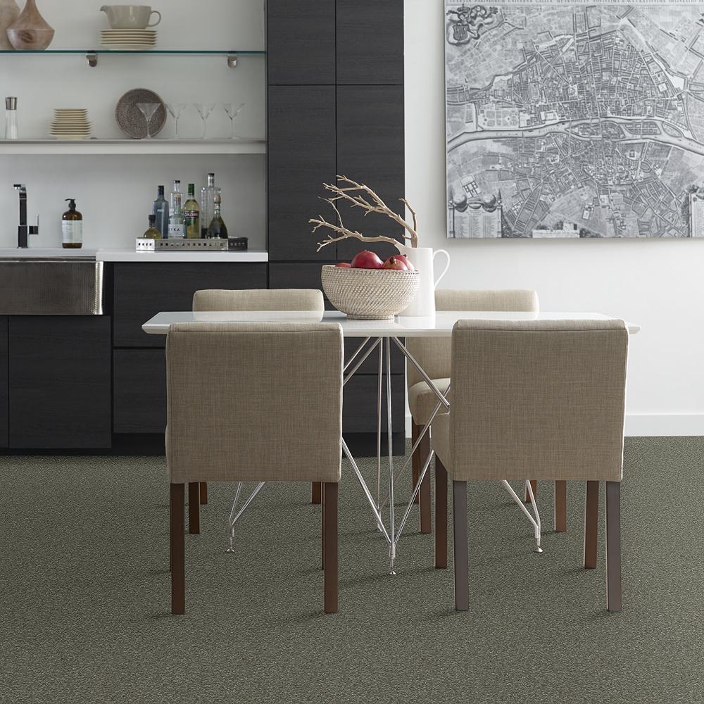 STAINMASTER PetProtect Baxter I Winston Textured Carpet (Indoor) - 12-ft Roll Width - Image 3