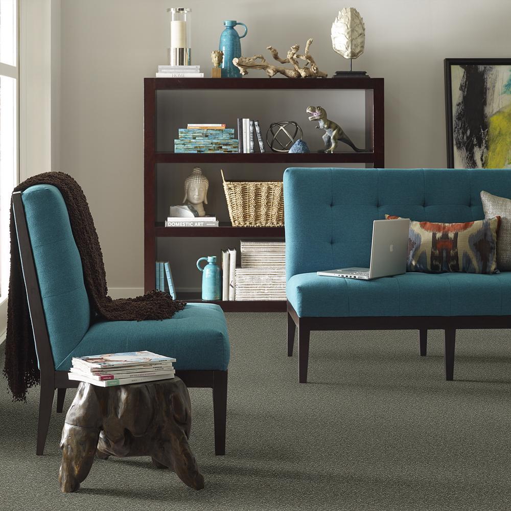 STAINMASTER PetProtect Baxter I Winston Textured Carpet (Indoor) - 12-ft Roll Width - Image 4