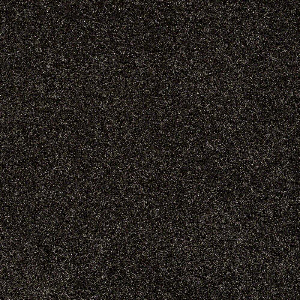 STAINMASTER PetProtect Baxter II Bear Textured Carpet (Indoor), 12-ft Roll Width