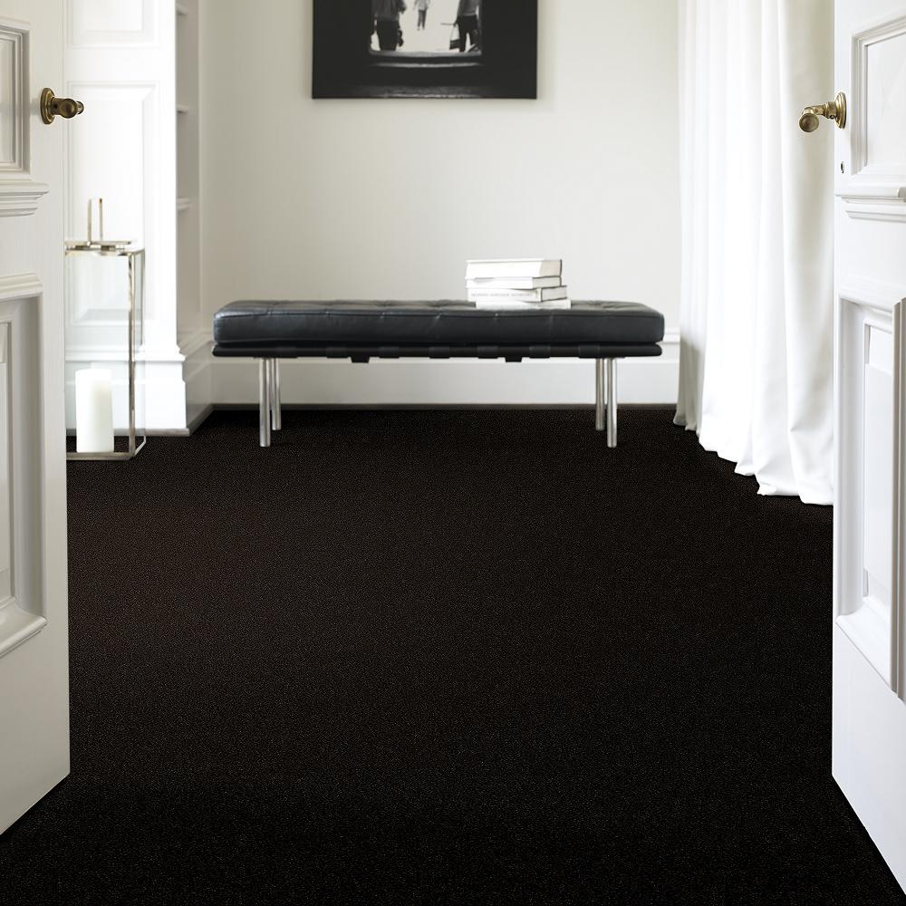 STAINMASTER PetProtect Baxter II Bear Textured Carpet (Indoor), 12-ft Roll Width - Image 2