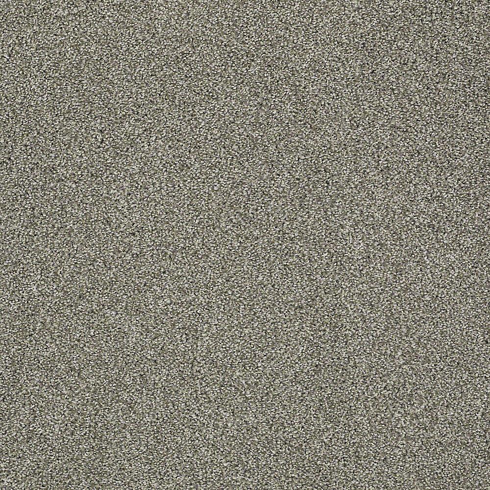 STAINMASTER PetProtect Baxter II Bentley Textured Indoor Carpet, 12-ft Roll Width