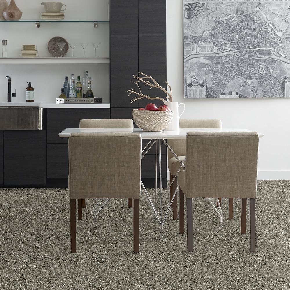 STAINMASTER PetProtect Baxter II Bentley Textured Indoor Carpet, 12-ft Roll Width - Image 3