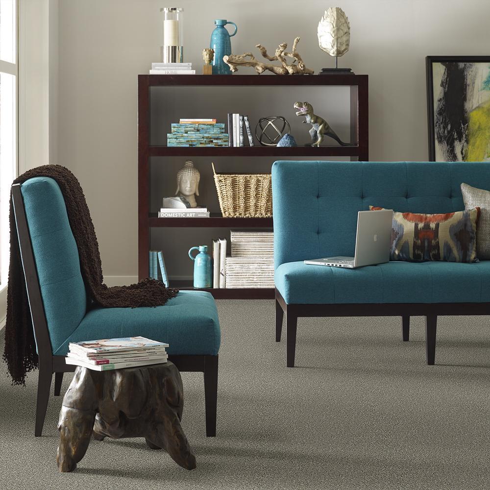 STAINMASTER PetProtect Baxter II Bentley Textured Indoor Carpet, 12-ft Roll Width - Image 4