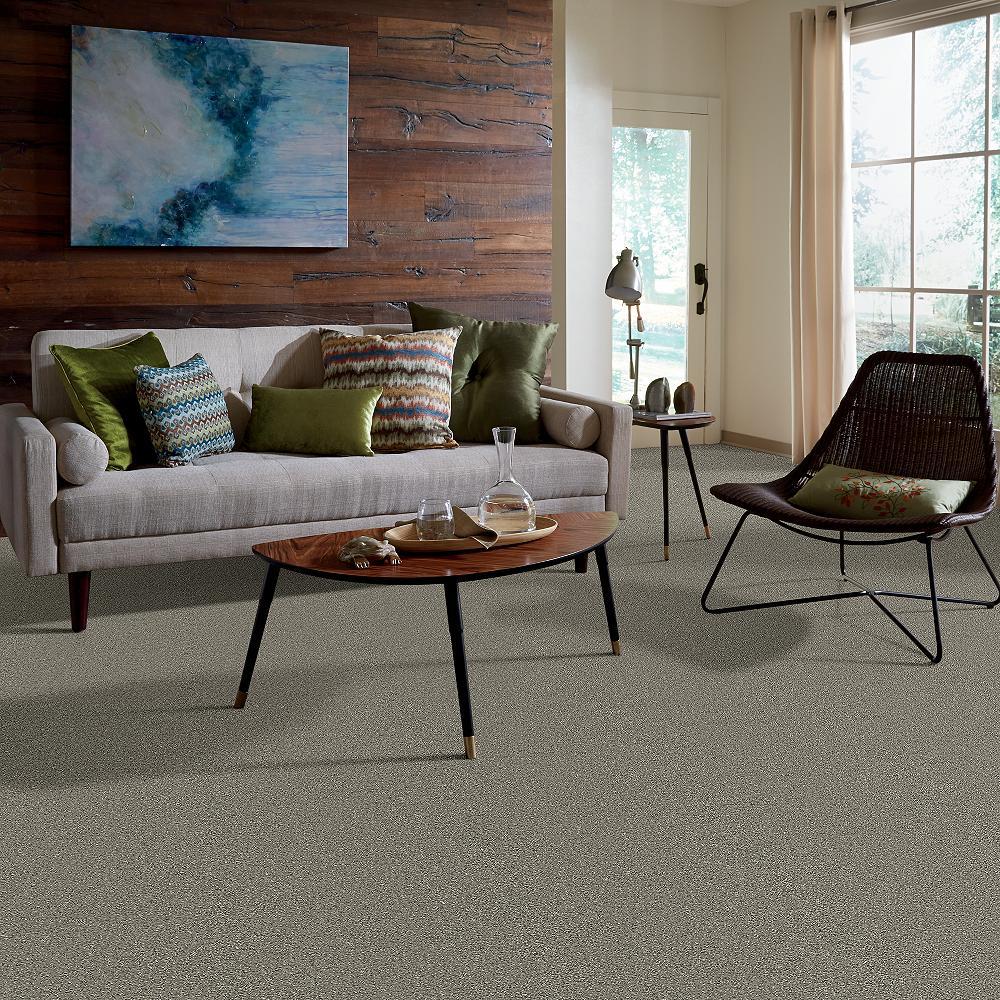 STAINMASTER PetProtect Baxter II Bentley Textured Indoor Carpet, 12-ft Roll Width - Image 5