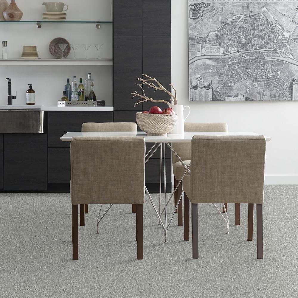 STAINMASTER PetProtect Baxter II Bobo Textured Carpet (Indoor) - Image 3