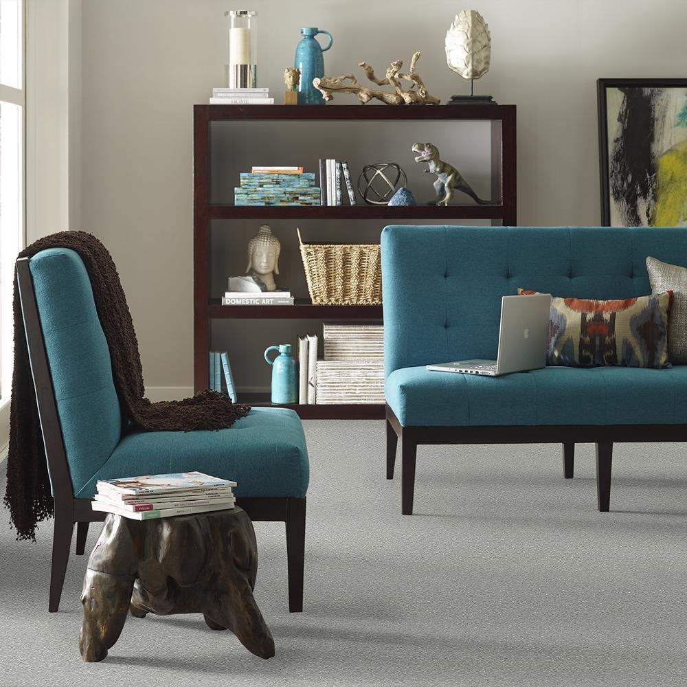 STAINMASTER PetProtect Baxter II Bobo Textured Carpet (Indoor) - Image 4