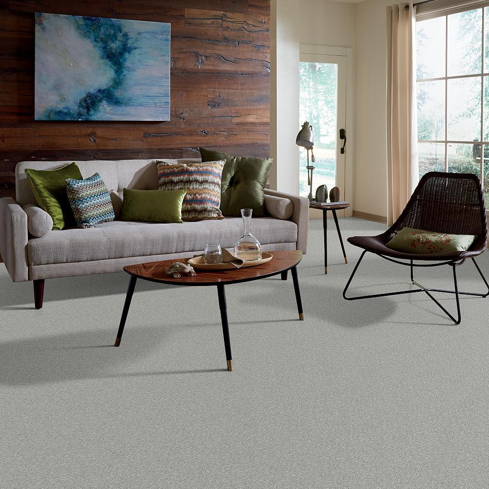 STAINMASTER PetProtect Baxter II Bobo Textured Carpet (Indoor) - Image 5