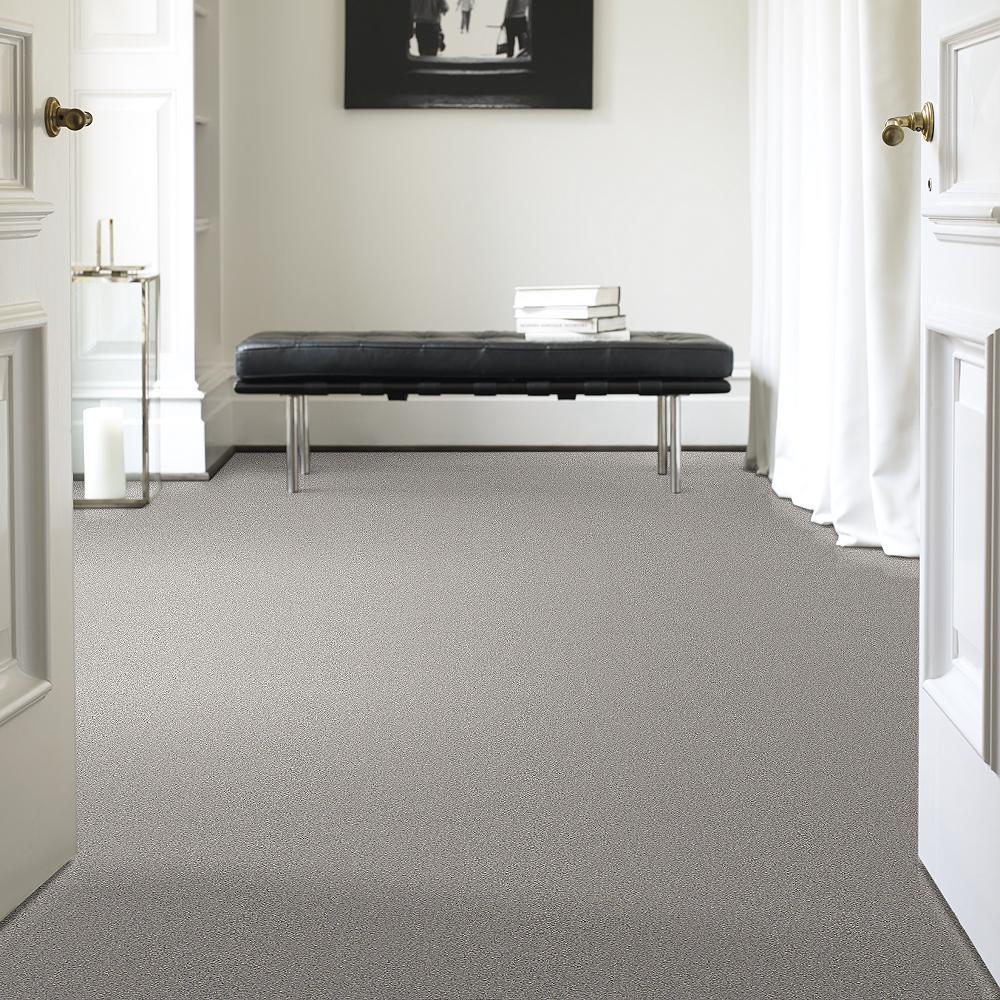 STAINMASTER PetProtect Baxter II Gizmo Textured Indoor Carpet, 12-ft Roll Width - Image 2