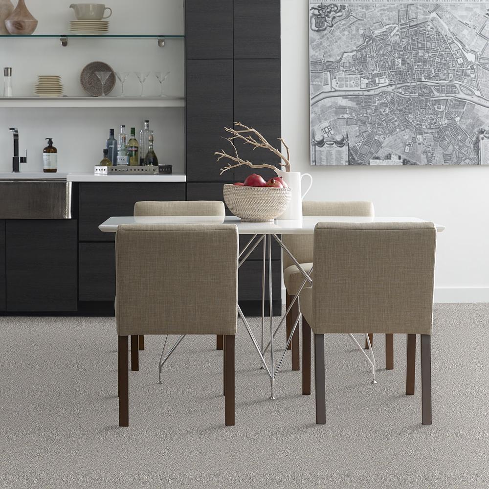 STAINMASTER PetProtect Baxter II Gizmo Textured Indoor Carpet, 12-ft Roll Width - Image 3