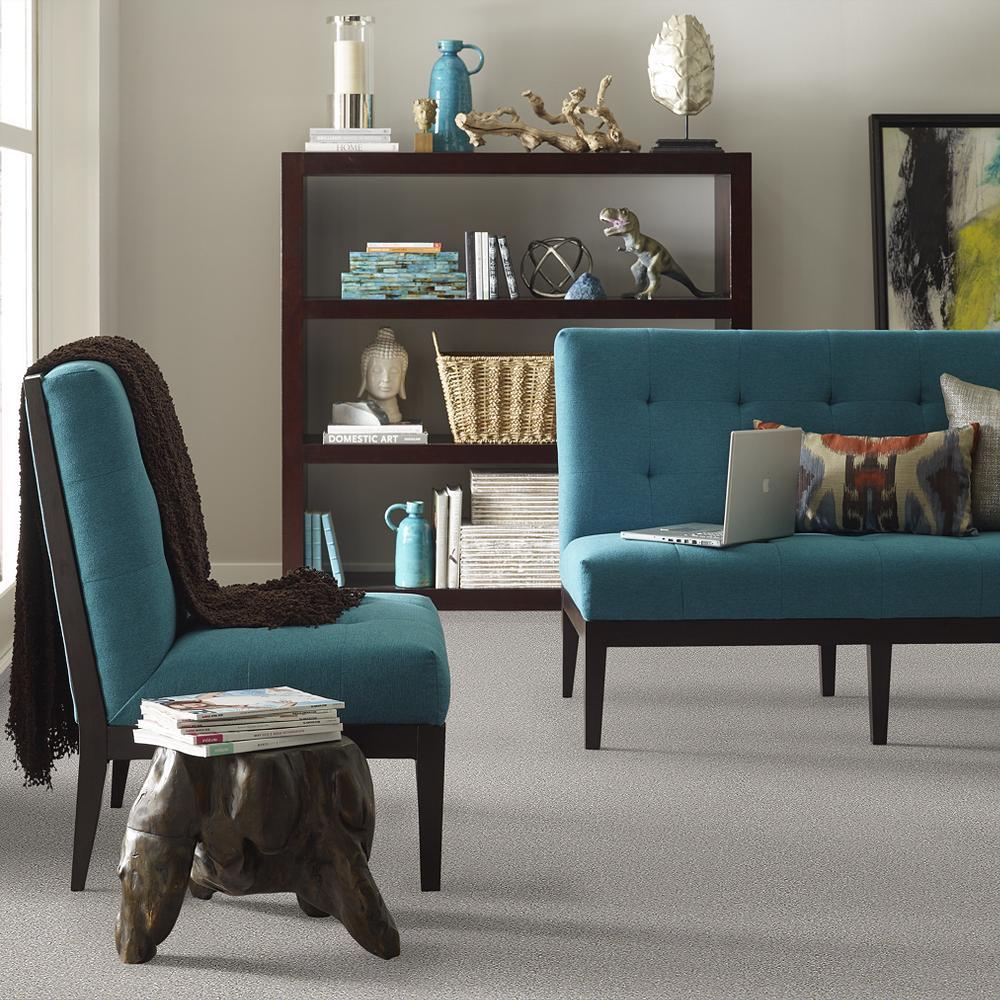 STAINMASTER PetProtect Baxter II Gizmo Textured Indoor Carpet, 12-ft Roll Width - Image 4