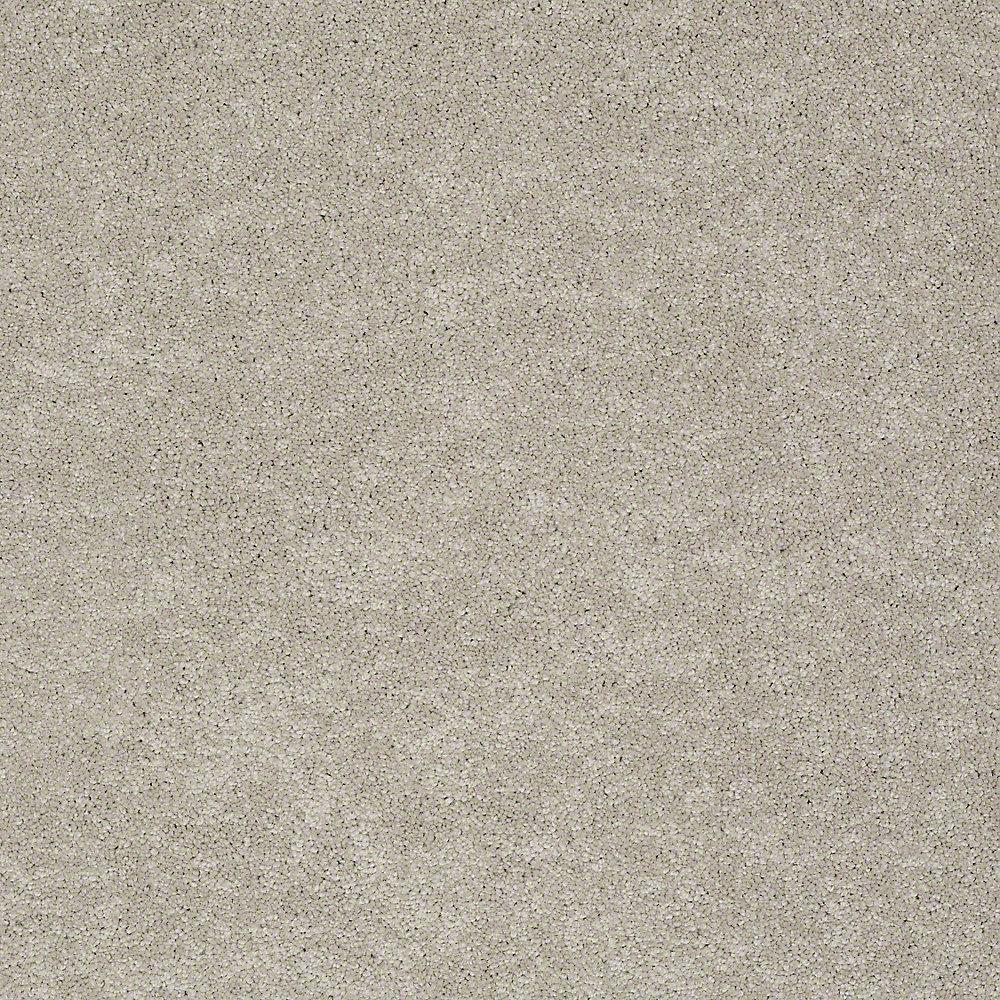 STAINMASTER PetProtect Baxter II Harley Textured Indoor Carpet, 12-ft W, Cut-to-Length
