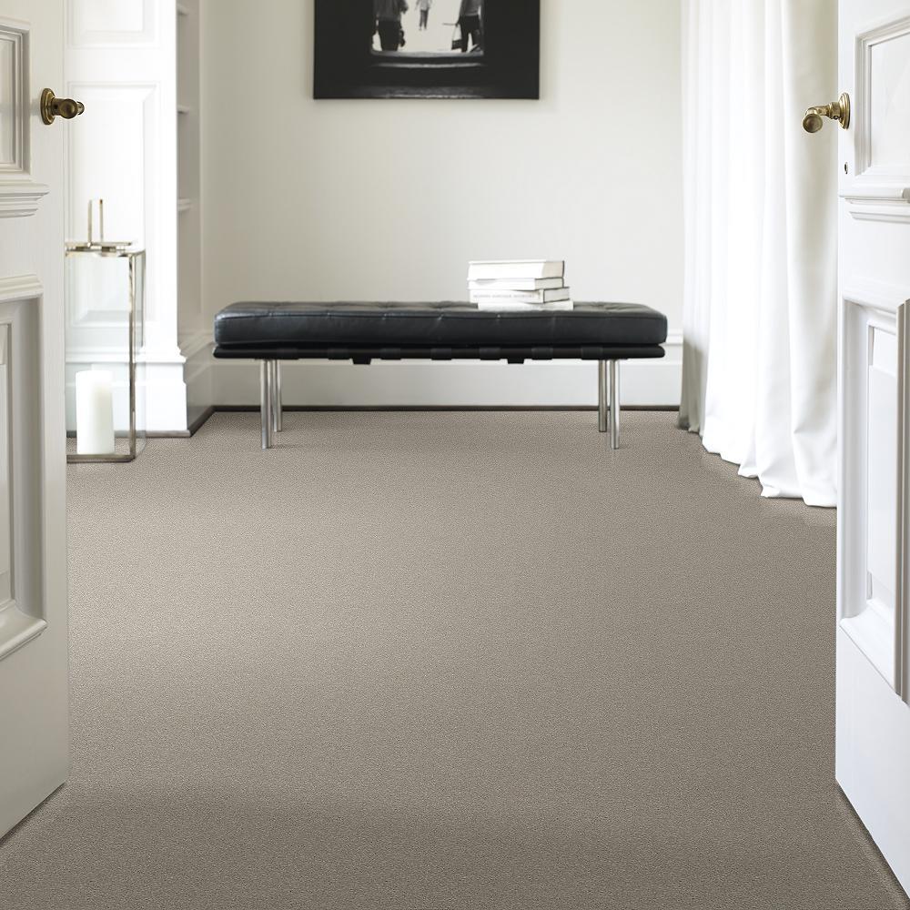STAINMASTER PetProtect Baxter II Harley Textured Indoor Carpet, 12-ft W, Cut-to-Length - Image 2