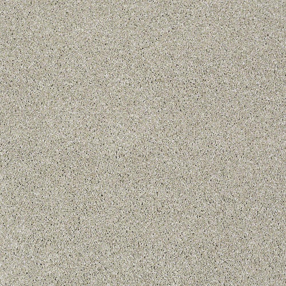 STAINMASTER PetProtect Baxter II Marmaduke Textured Carpet (Indoor, 12-ft Roll Width)