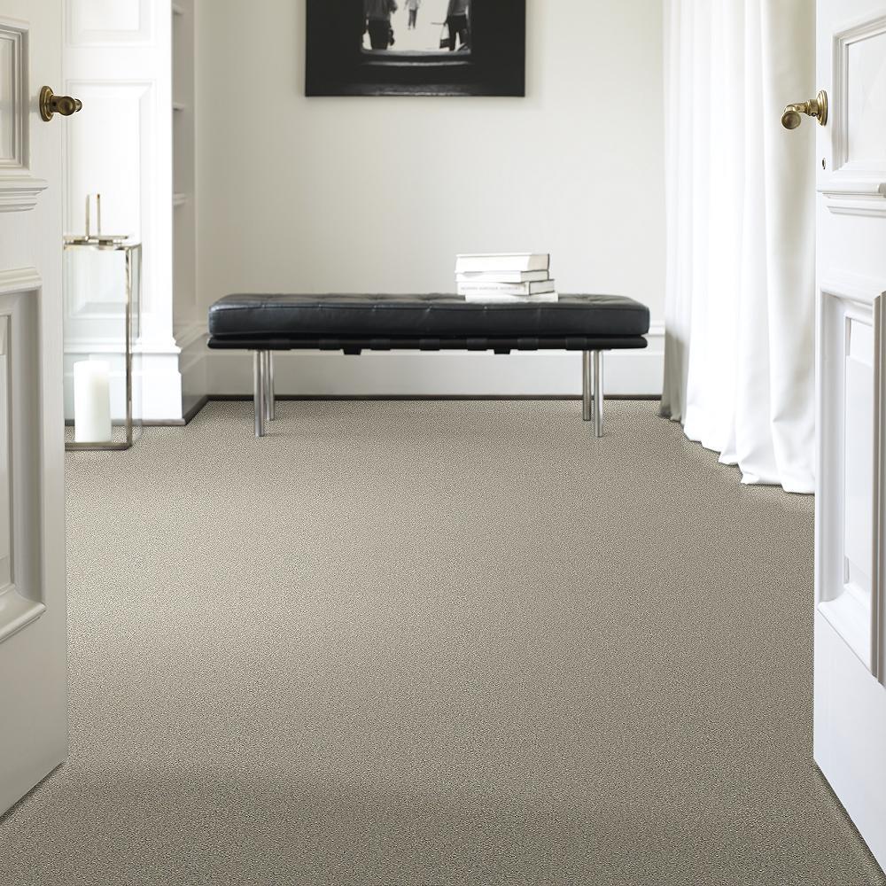 STAINMASTER PetProtect Baxter II Marmaduke Textured Carpet (Indoor, 12-ft Roll Width) - Image 2