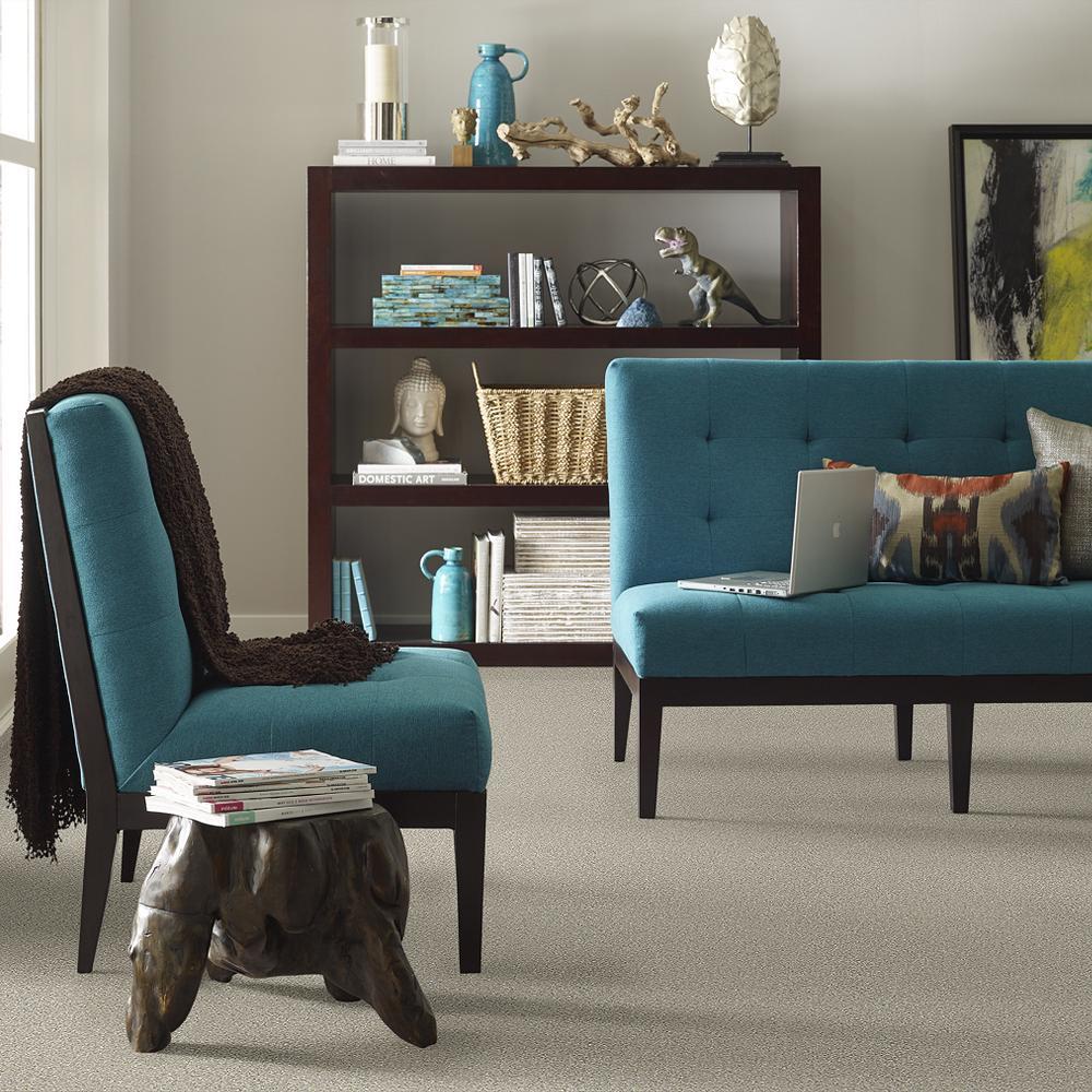 STAINMASTER PetProtect Baxter II Marmaduke Textured Carpet (Indoor, 12-ft Roll Width) - Image 4