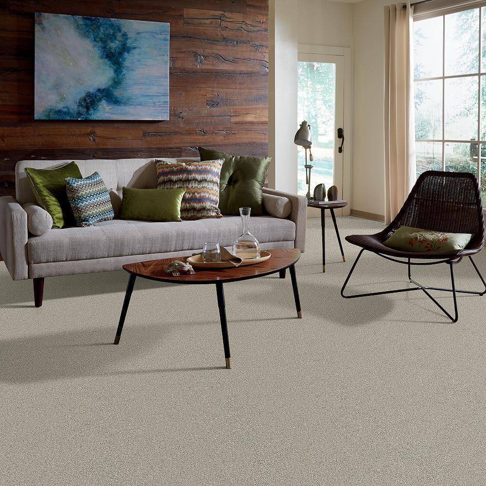 STAINMASTER PetProtect Baxter II Marmaduke Textured Carpet (Indoor, 12-ft Roll Width) - Image 5