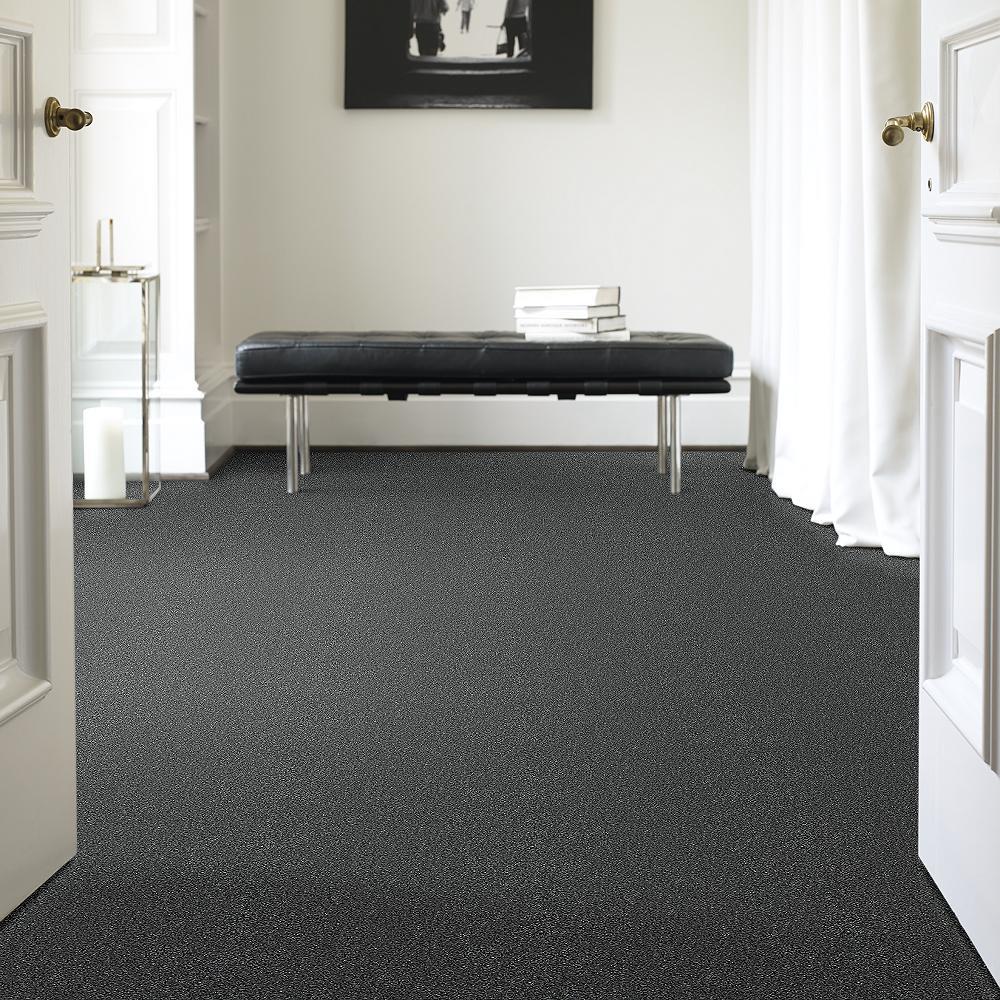 STAINMASTER PetProtect Baxter II Roll Over Textured Carpet (Indoor) - Image 2