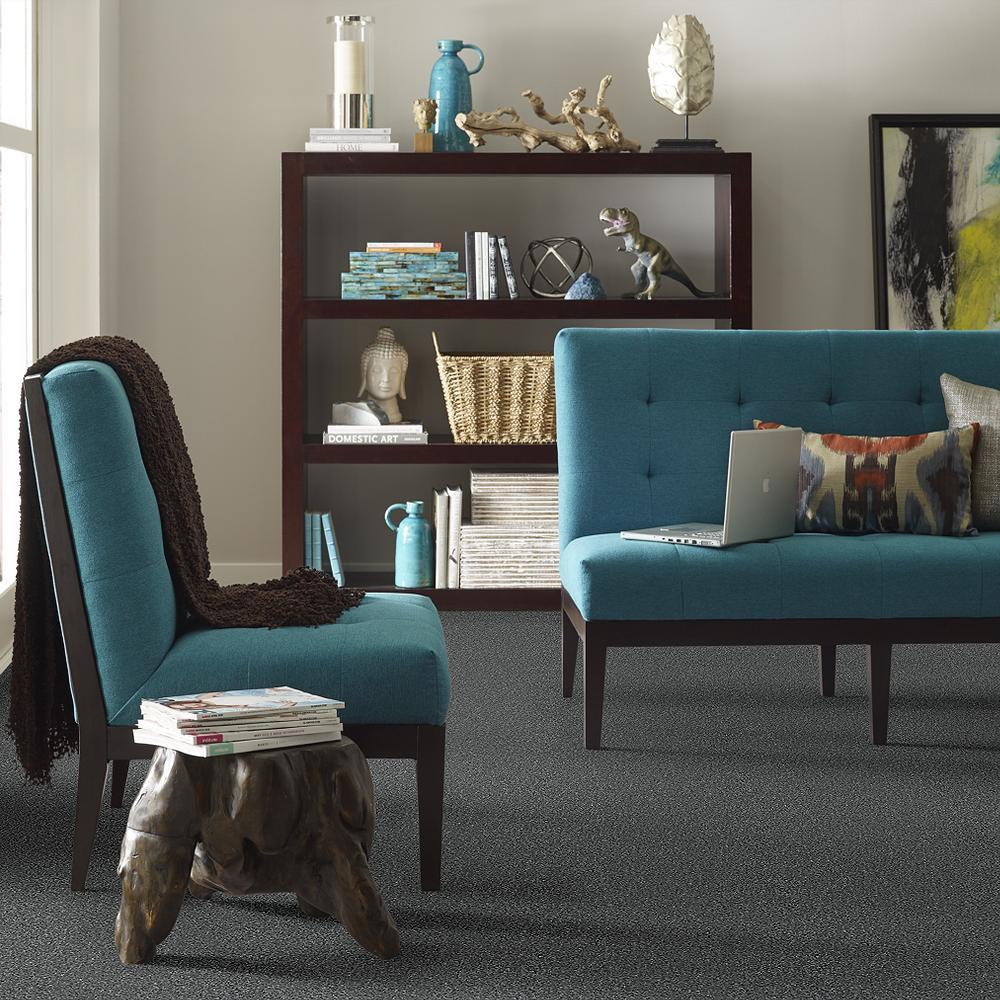 STAINMASTER PetProtect Baxter II Roll Over Textured Carpet (Indoor) - Image 4