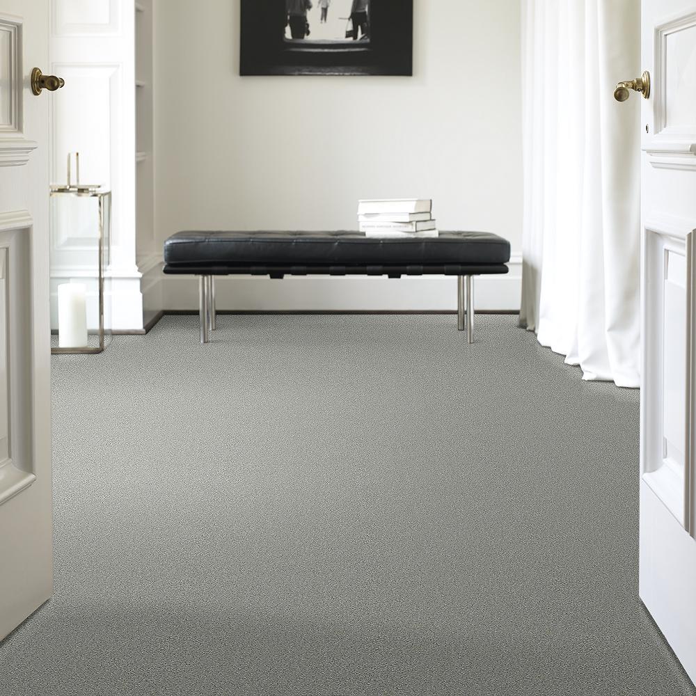 STAINMASTER PetProtect Baxter II Roscoe Textured Carpet (Indoor) - Image 2