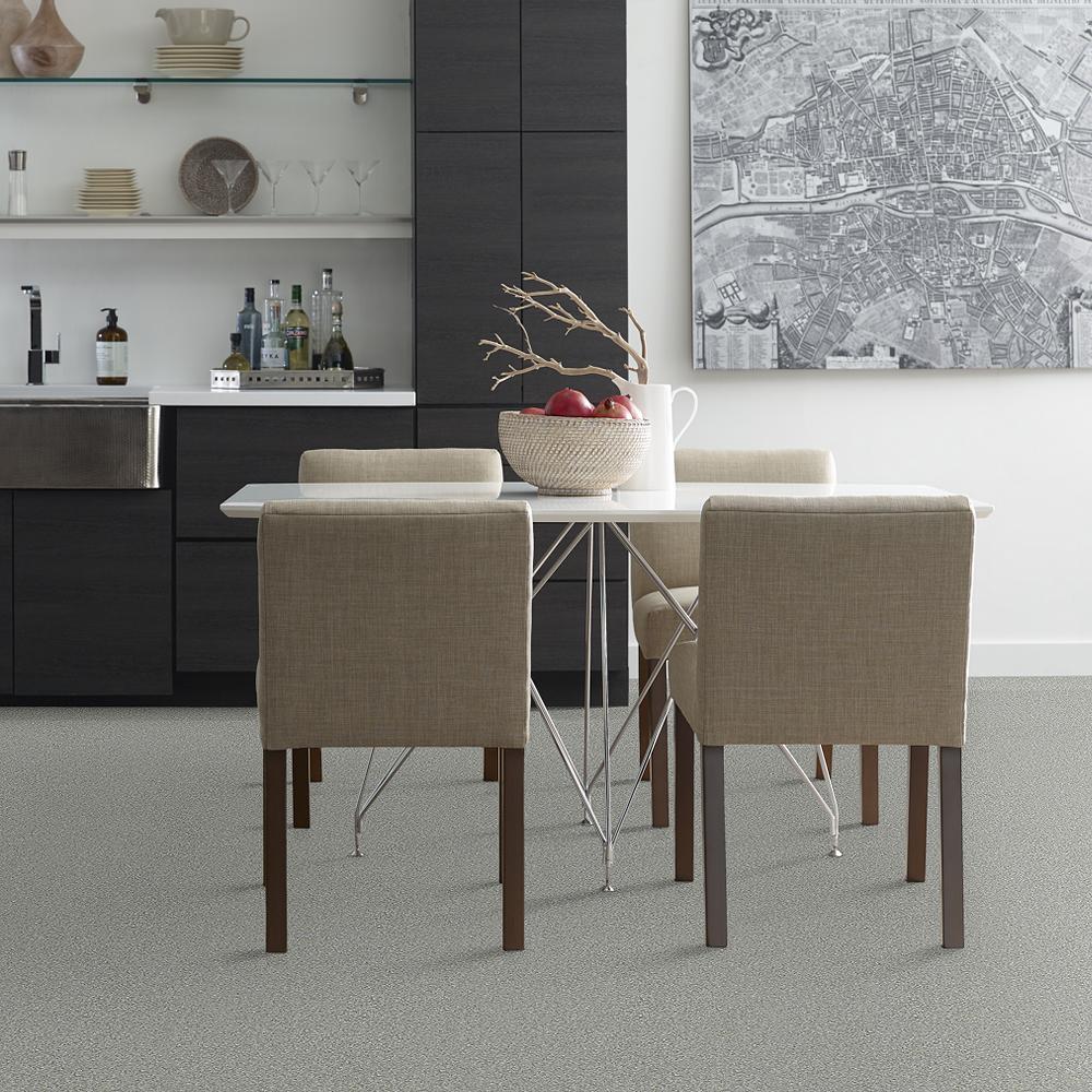 STAINMASTER PetProtect Baxter II Roscoe Textured Carpet (Indoor) - Image 3