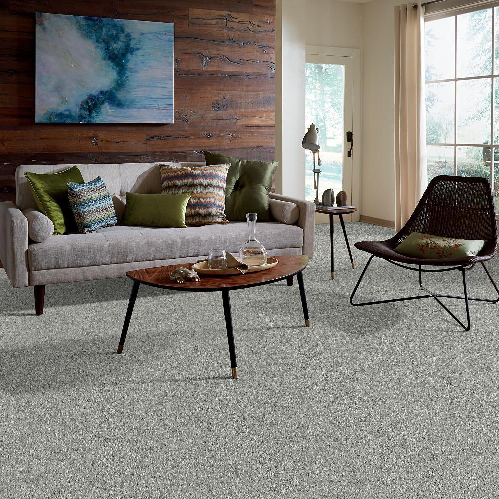 STAINMASTER PetProtect Baxter II Roscoe Textured Carpet (Indoor) - Image 5