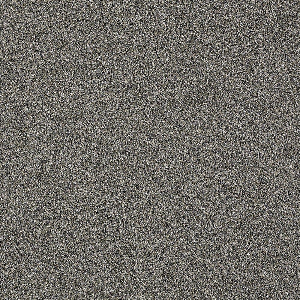 STAINMASTER PetProtect Baxter II Schnauzer Textured Carpet (Indoor) - 12-ft Width