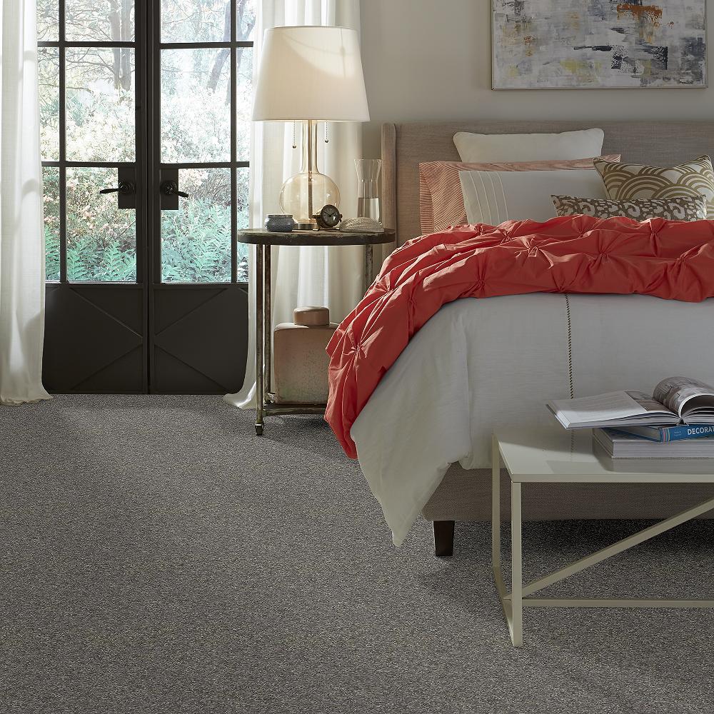 STAINMASTER PetProtect Baxter II Schnauzer Textured Carpet (Indoor) - 12-ft Width - Image 2