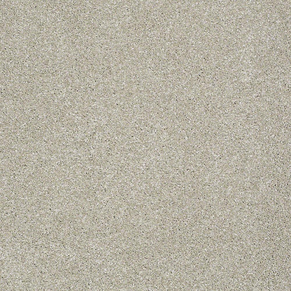 STAINMASTER PetProtect Baxter III Marmaduke Textured Indoor Carpet - 12-ft Roll Width