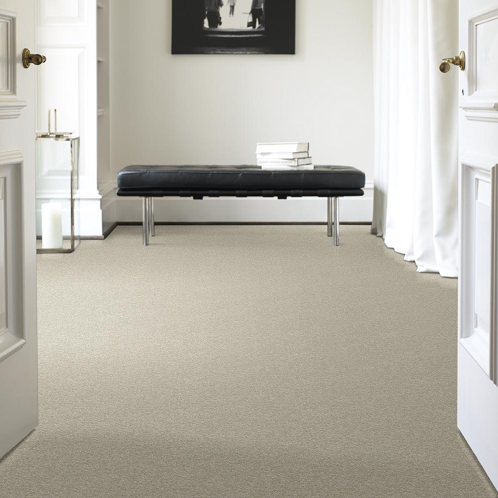 STAINMASTER PetProtect Baxter III Marmaduke Textured Indoor Carpet - 12-ft Roll Width - Image 2